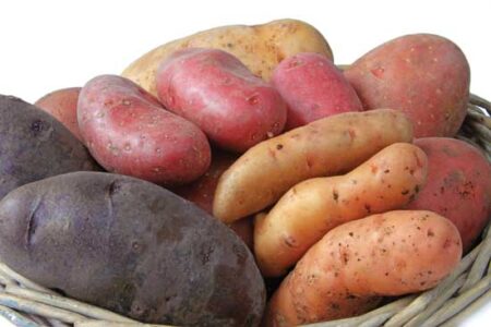 How to Grow Organic Potatoes: No. 1 Potato Expert Shares His Best Tips Image